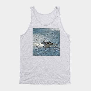 Sparrow Bird Closeup Urban Wildlife Tank Top